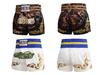 ANOTHERBOXER Mehrfarbige Muay Thai und Kickboxen Trainingsshorts