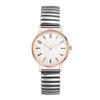 Women's Watch: Cute and Stylish, with a Flexible Accordion Strap: Analog Display, Stainless Steel Band, One Size Fits All, Waterproof, Quartz Watch, F
