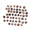 50x Mini Dynie Dekoracja do Rękodzieła Ozdoby Wypełniacz do Wazonów Mini Dynie na Święto Dziękczynienia Ślub Wianek Potpourri DIY Dom
