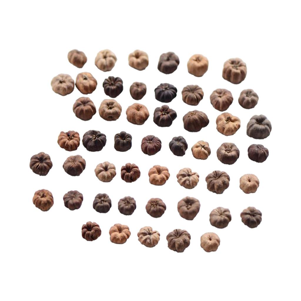 50x Mini Dynie Dekoracja do Rękodzieła Ozdoby Wypełniacz do Wazonów Mini Dynie na Święto Dziękczynienia Ślub Wianek Potpourri DIY Dom