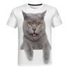 Fun Cat Pattern T-Shirt For Men Colorful Cartoon Animals 3D Print T Shirts Summer Loose Street Tops Round Neck Short Sleeve Tees
