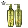 Ginger Essence Oil Control Shampoo & Conditioner Set