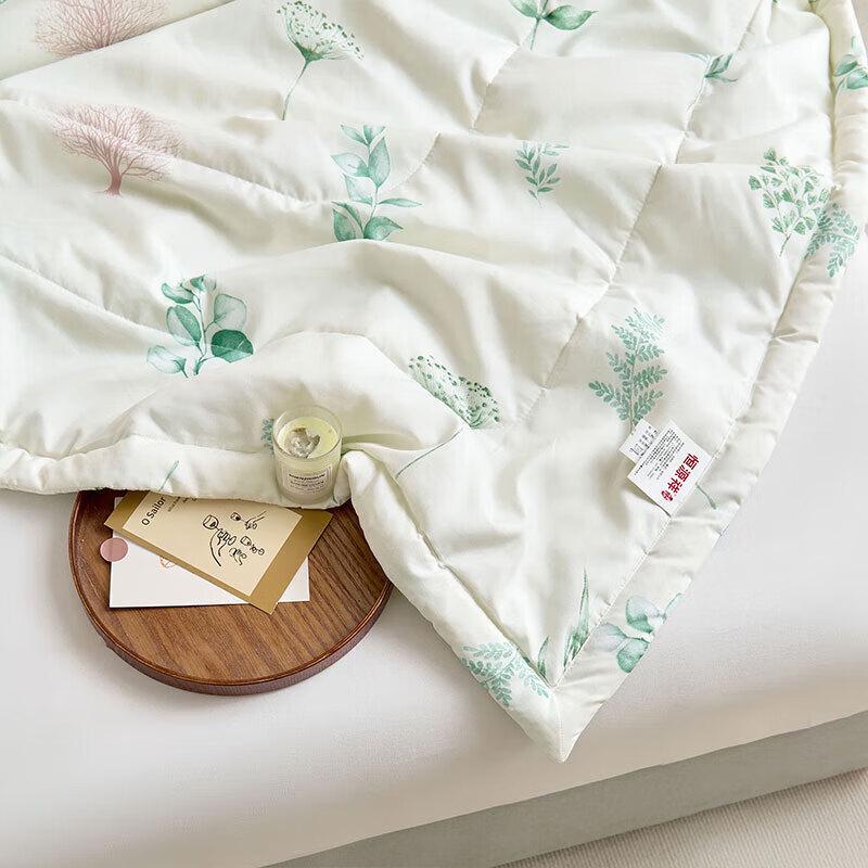Hengyuanxiang Spring Vitality Summer AC Quilt