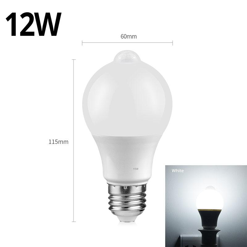 12W 110V