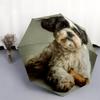 Shih Tzu Bone Pattern, Automatic Folding Umbrella, Portable and Foldable Design, 8 Ribs, a Christmas or Birthday Gift.