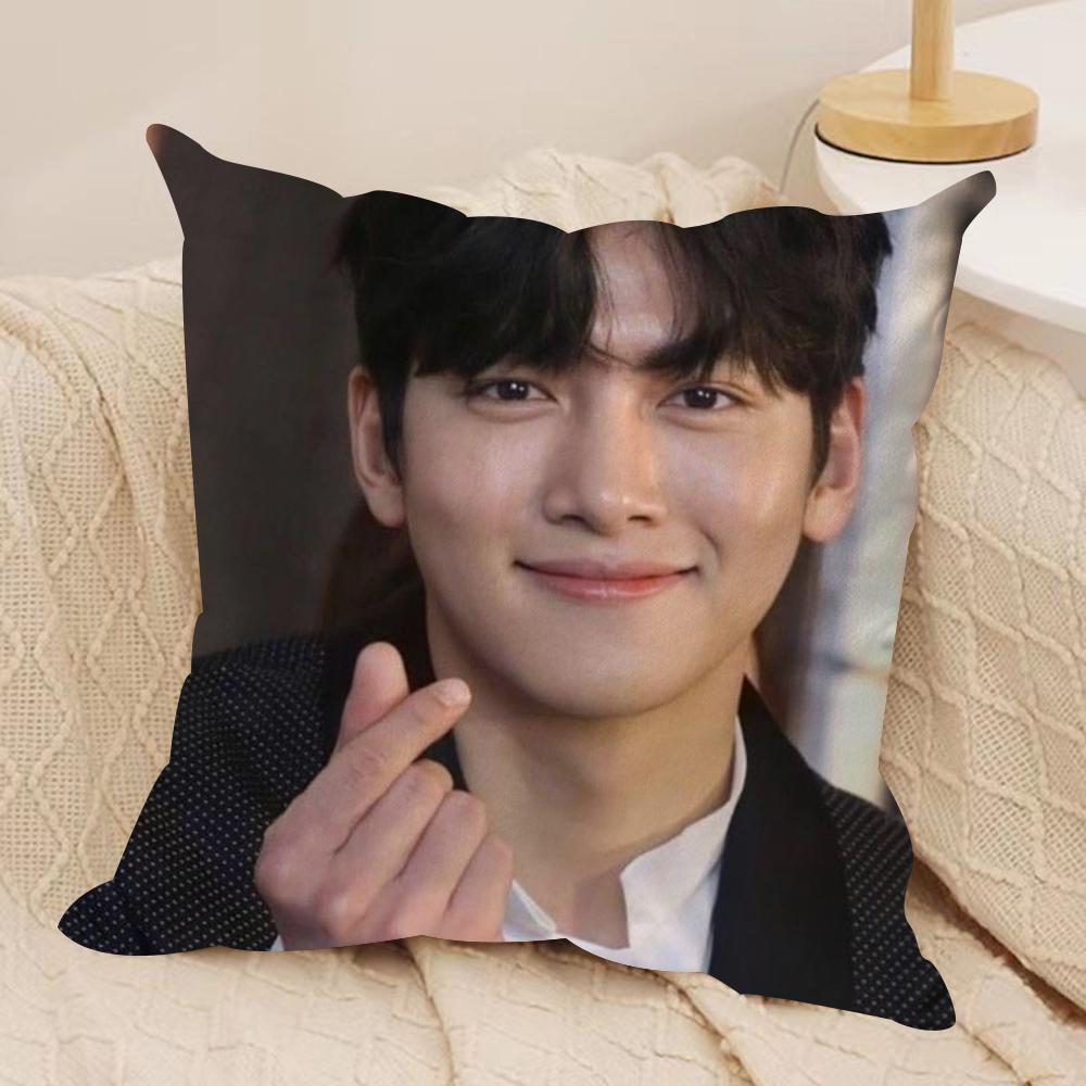 JJi CChang Wook Cushion Cover Silky Short Plush DoubleSided Printed Pillow Case for Sofa All Seasons Home Decor Gift