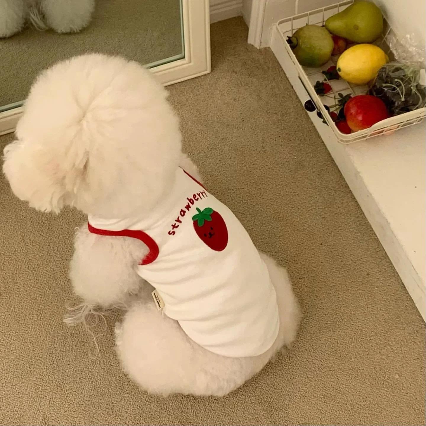 

Cute Fruit Puppy Vest Pet Summer Embroidered Clothes Teddy Schnauzer Sleeveless T-Shirt Breathable Pullover Fashion Dog Clothes XS суничний