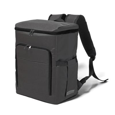 Rioboca Isolierte Kühltasche und Rucksack-Stil Tasche für Camping, 22L, Einkaufen, Grillpartys, (Schwarz)
