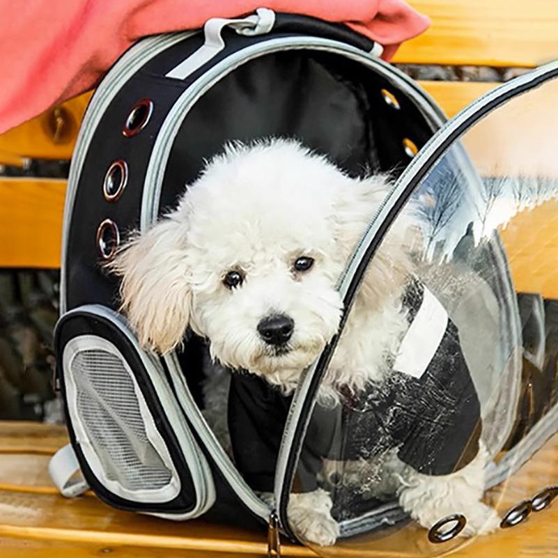 Pet cat carrier with a transparent window a portable outdoor baga spacious cat carrier,and a breathable, large-capacity backpack