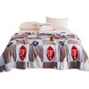 Coral Fleece Flannel Warm Blanket