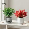 Large Planter Pot Self Watering Pots for Indoor Plants, Plastic with Drainage Hydroponic Plant Vase Holes, Small Flower Houseplants, African Violets,