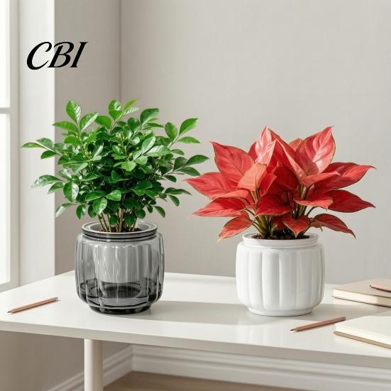 Large Planter Pot Self Watering Pots for Indoor Plants, Plastic with Drainage Hydroponic Plant Vase Holes, Small Flower Houseplants, African Violets,
