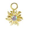 Charms - Cocr Nf - Sole - Zirconia Colorata Premium - Oro - D-054