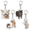 Viral Cat Expression Backpack Keychain Pendant