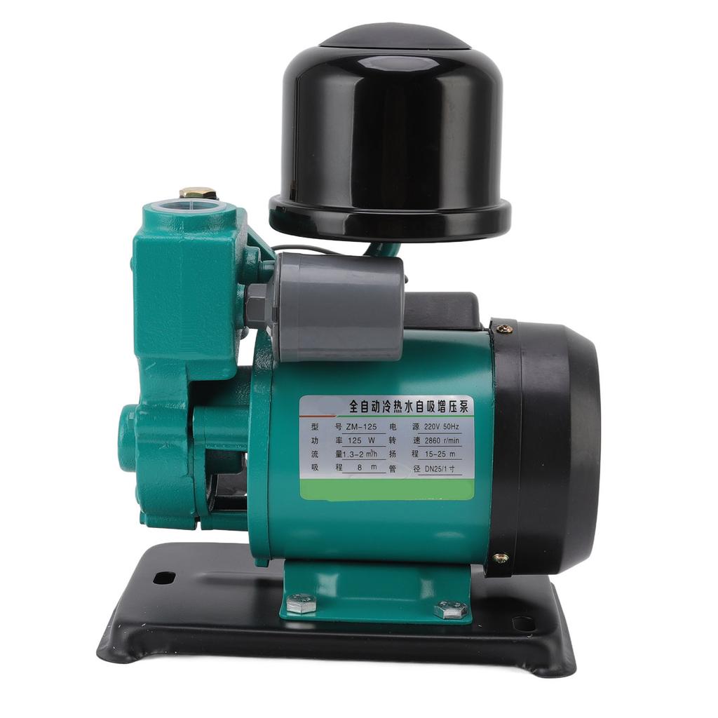 125W selbstansaugende Wasserpumpe, Druckerhöhungspumpe aus reinem Kupferdraht für den Heimgebrauch im Garten