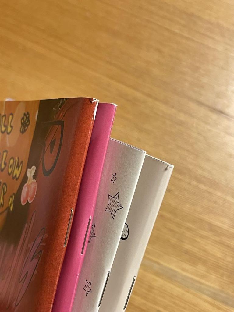 [USED] Newjeans Get Up BagVer Hani