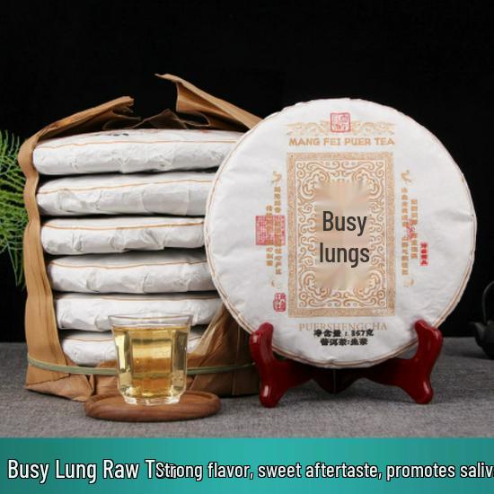 High Mountain 2025 Yunnan Daxueshan Raw Pu er Tea Cake from Mangfei Gucha Garden 357g