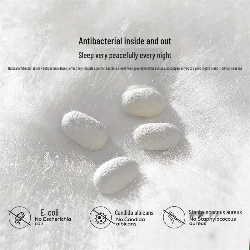 Mercury Home Textiles All-Season Mulberry Silk Duvet Insert