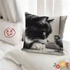 pc Cute Oil Painting Cat Animal Bird Pillow Case Fashion Square Pillowcase Bedroom Sofa Room Ins Decoration Leisure
