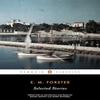 Selected Stories by E.M. Forster Paperback Book 9780141186191