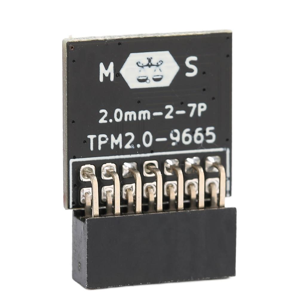 TPM 2.0 Module LPC 14 Pin Tpm 2.0 Remote Card Encryption Security Module for MSI for Windows