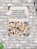 Edible Mushroom Varieties Metal Sign, Kitchen Tin Poster, 20x30 Cm Home Decor