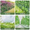 Outdoor Agricultural Climbing Support Trellis Netting for Plants, Heavy Duty Plastic Garden Square Mesh Morning Glory Netting, Plant Net Cucumbers