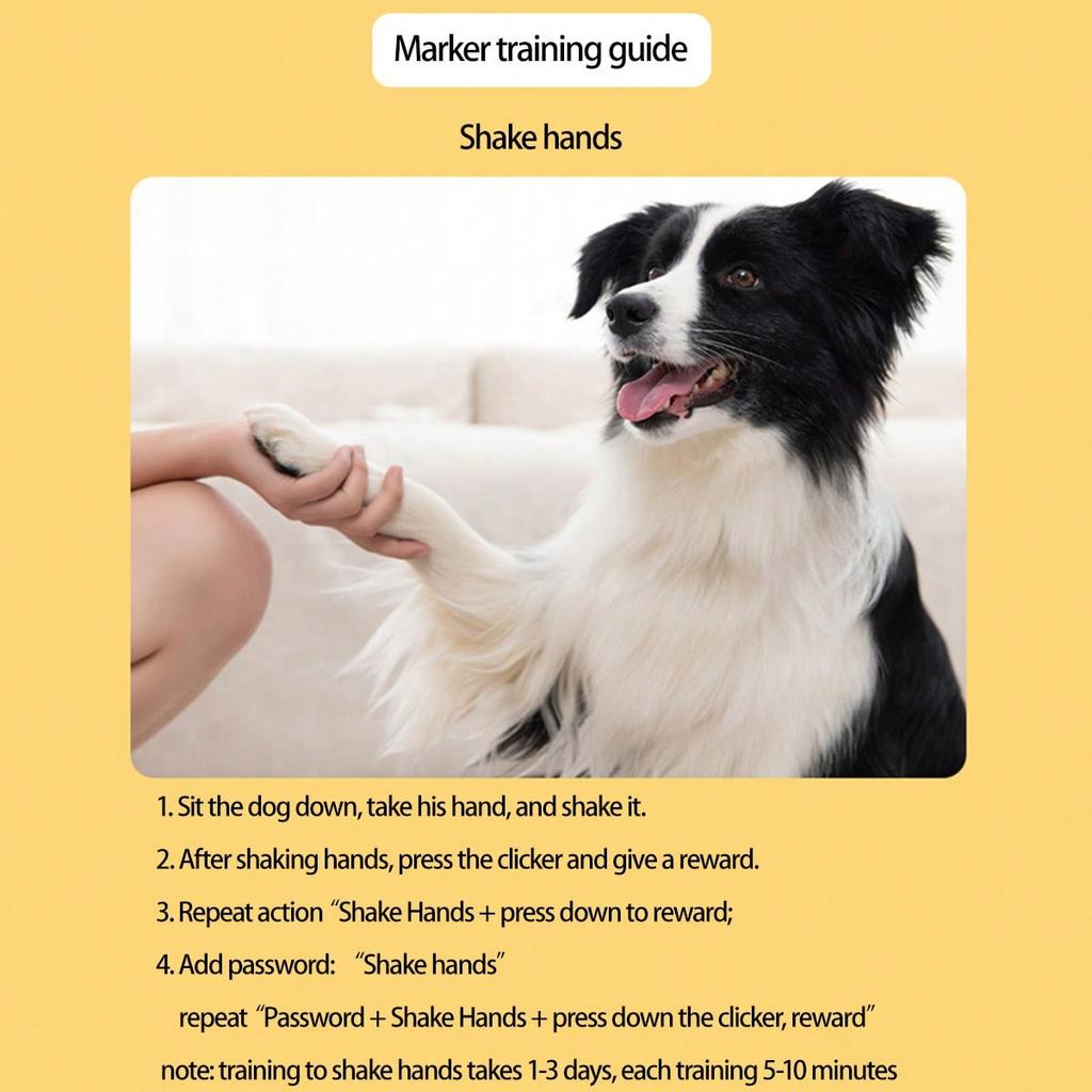 Clicker per l'addestramento del cane con suono per la modifica del comportamento e l'addestramento all'obbedienza
