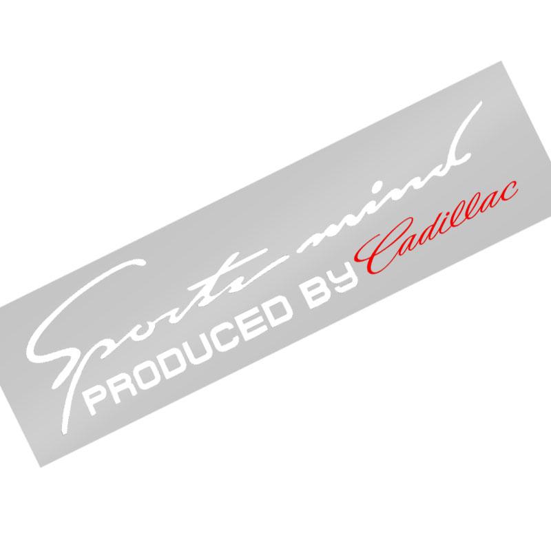 Car Light Eyebrow Sticker Personalized Headlight Decal For Cadillac XT5 XTS CTS BLS SLS DTS SRX Escalade Tiburon Deville