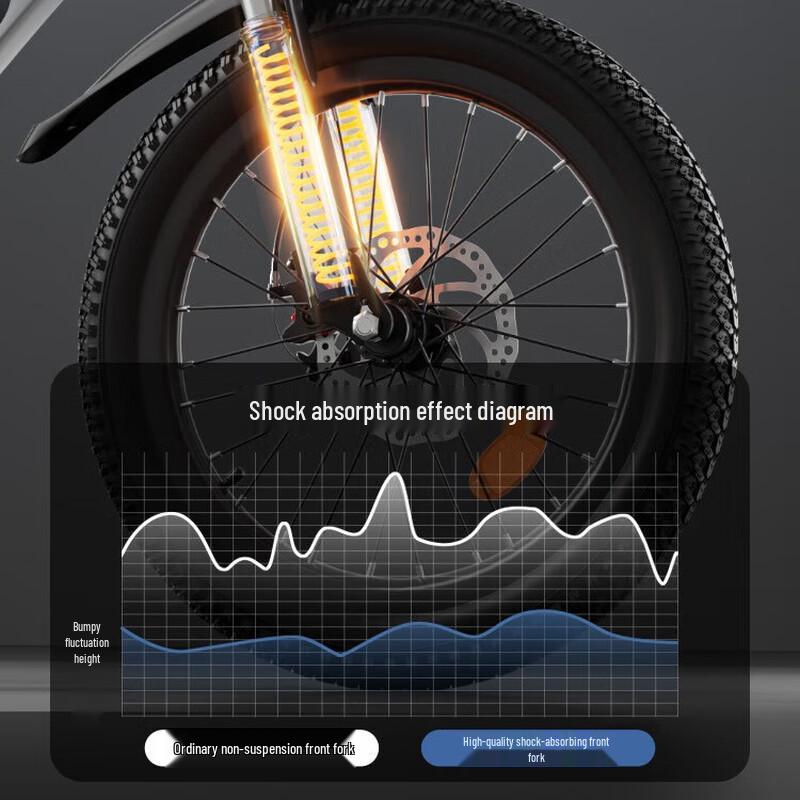 Zhitong Youth & Teen Dual Disc Brake Bicycle