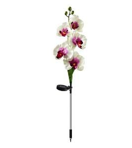 New Solar-powered Outdoor Lawn Lamp Courtyard Garden Decorative LED Lawn Ground Insert Lamp Simulated Phalaenopsis Flower Lights