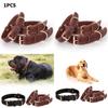 Classic Leather Dog Collar With Vintage Brass Buckle For Medium To Large Dogs