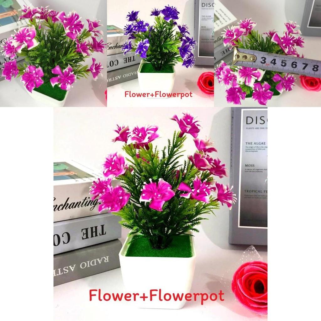 Camellia Sasanqua Miniature Artificial Plant Set With Flower And Pot For Home Decor And Gift