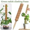 2 Pezzi Totem in Fibra di Cocco per Piante Rampicanti Bastone di Cocco Sicuro per Giardinaggio per Piante Rampicanti, Rampicanti e Rampicanti Supporto per Piante.