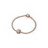 Pandora Sparkling Herbarium Round Charm Women's Rose Gold 782383C01