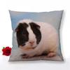 Guinea Pig Zipper Pillowcase Home Decor Satin Square  Bedroom