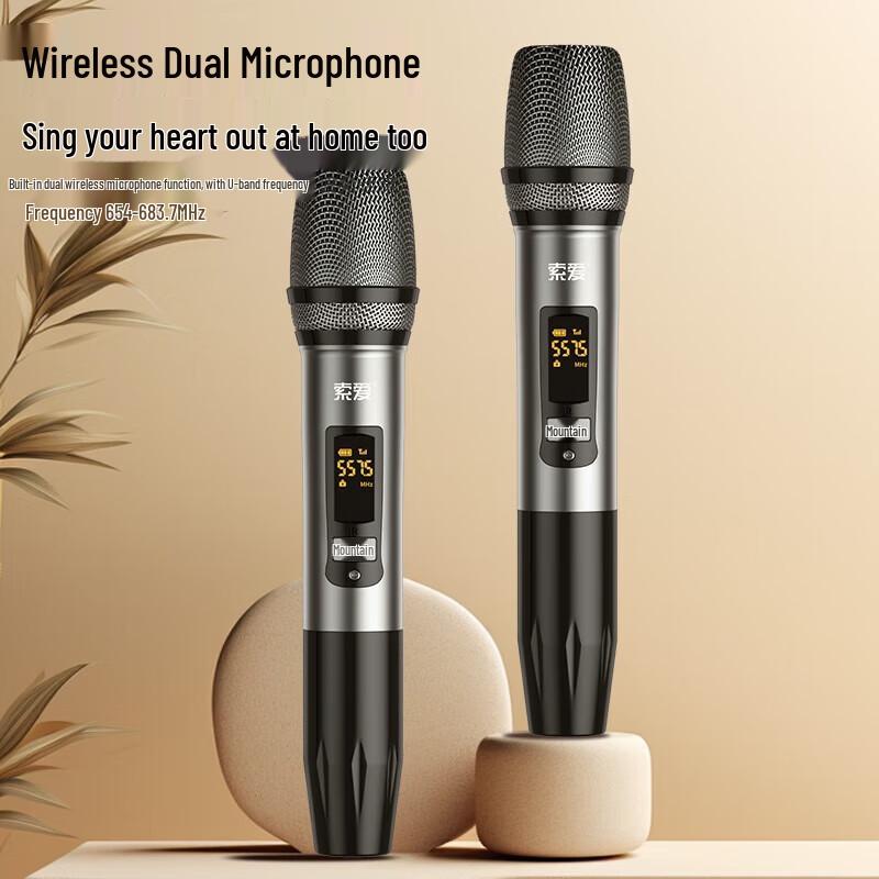 Soaiy SA-X15 Home KTV Audio System