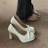 Buty na obcasie damskie nowe seksowne grube obcasy temperament niszowe wodoodporne platforma wszechstronne buty Mary Jane