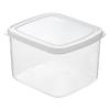 Fridge Storage Box Transparent Refrigerator Fresh Keeping Box 1.2L Capacity Vegetable Food Organizer Container for