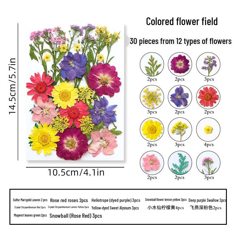 DIY Dried Flower Specimen Sticker Set for Kids: Handmade Pressed Flower Frames & Resin Bookmark Craft Kit