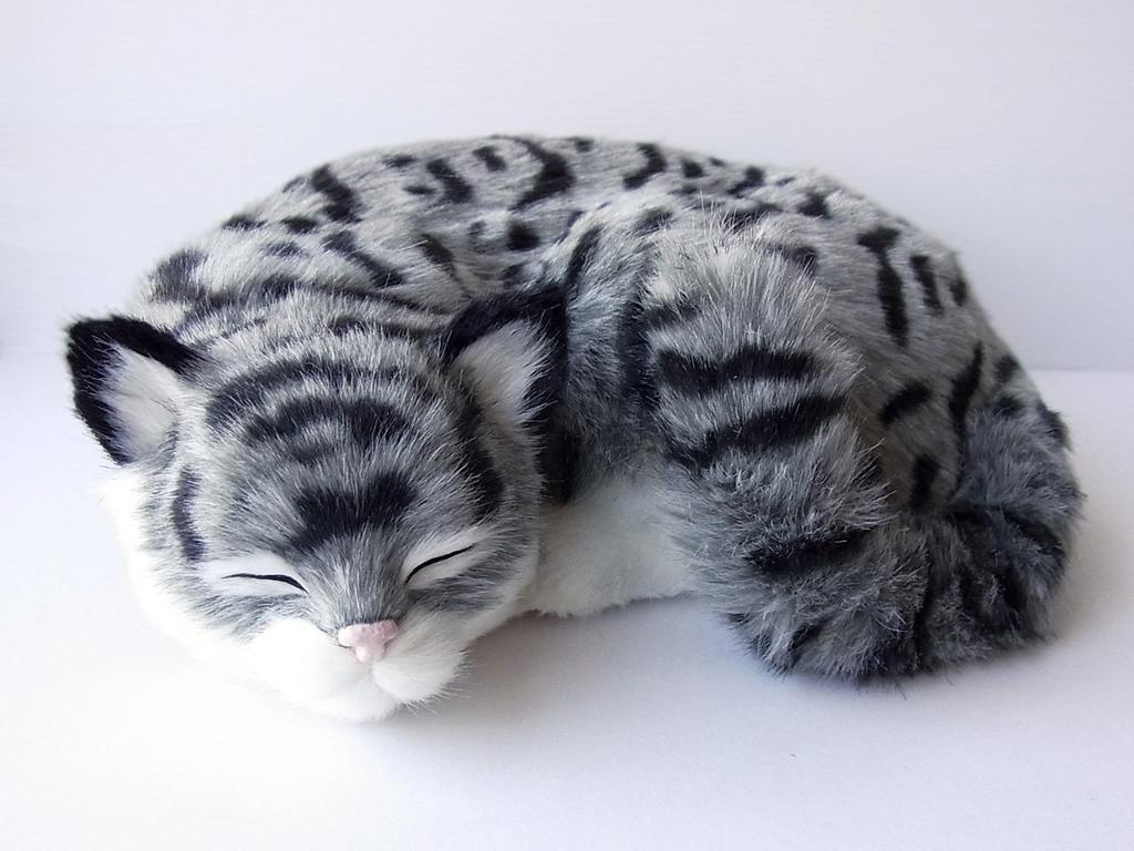 Ninian and Kino Perfect Pet Tabby Cat Plush Realistic and Perfect Gift for Plush (Large) Toy, Lifelike, Celebrations, Animals, Soothing, Moving, Cute,