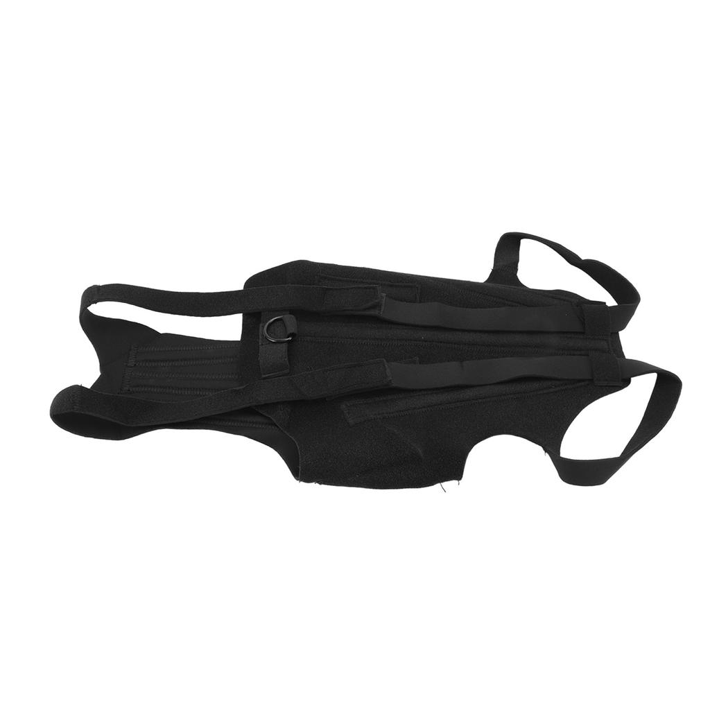 Dog Back Bracer Polyester Strong Rigidity Flexible Back Supporting Vest for Walking
