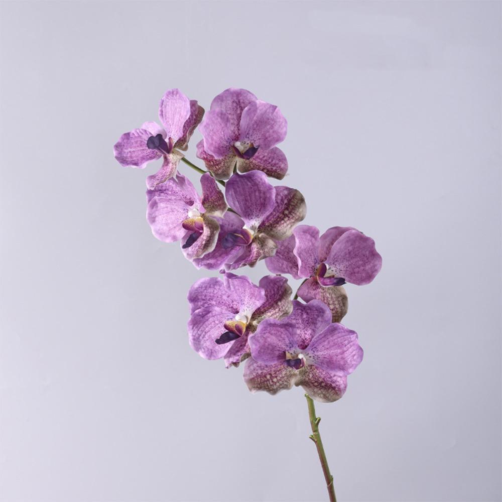Plastic Phalaenopsis Branch Moisturizing Real Touch Orchids Simulation Flower  Office Decor