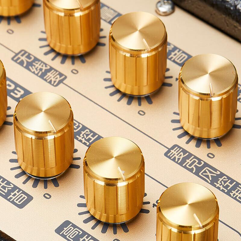 MIGAO MG832A-LI Portable 50W Monitor Speaker Package