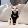 Katzen – Kleidung für Katzen