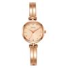 Niche Alloy Bracelet Watch, Exquisite Disc Student Quartz Watch, Versatile Waterproof Women'S Watch