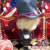 Game Lyney Plush Doll Fan 20Cm Cute Change Clothes Stuffed Pillow Genshin Impact Plush Toys Lyney Doll Diy Holiday Birthday Gift