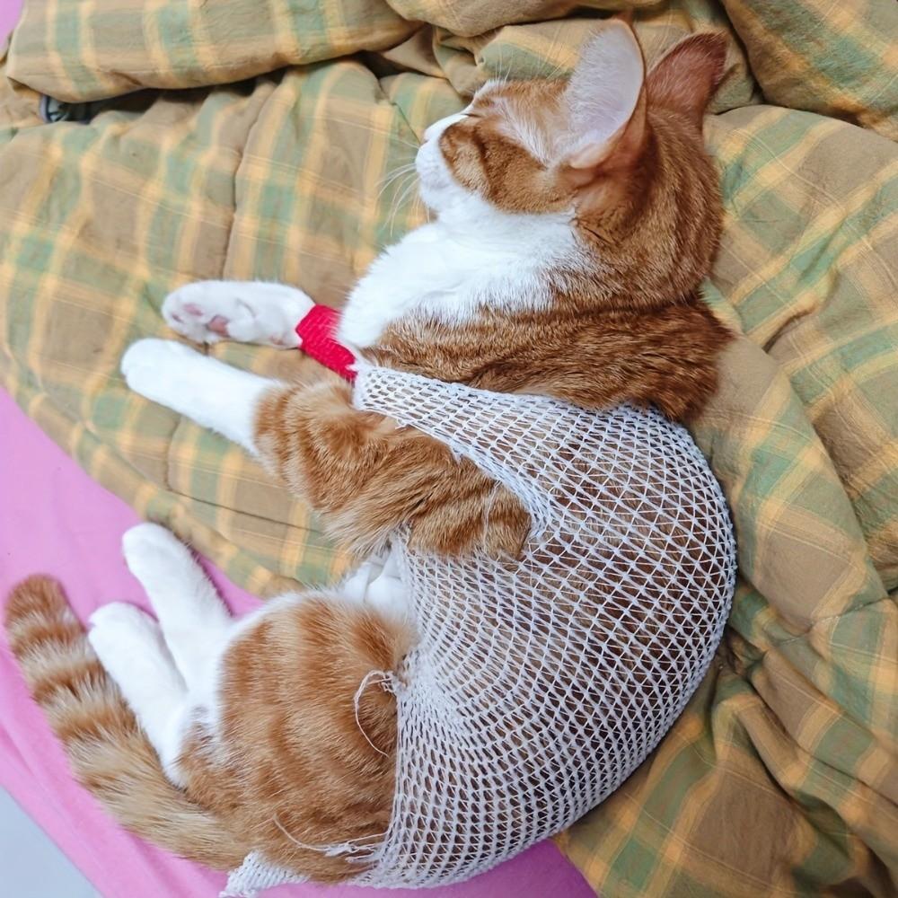 Copertura protettiva traspirante per animali domestici Manicotto a rete elastica per ginocchio e zampa Recupero ferite