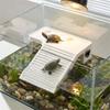 Stable Turtle Floating Platform Non-Slip Turtle Climbing Slope Reptile Ramp  Aquarium