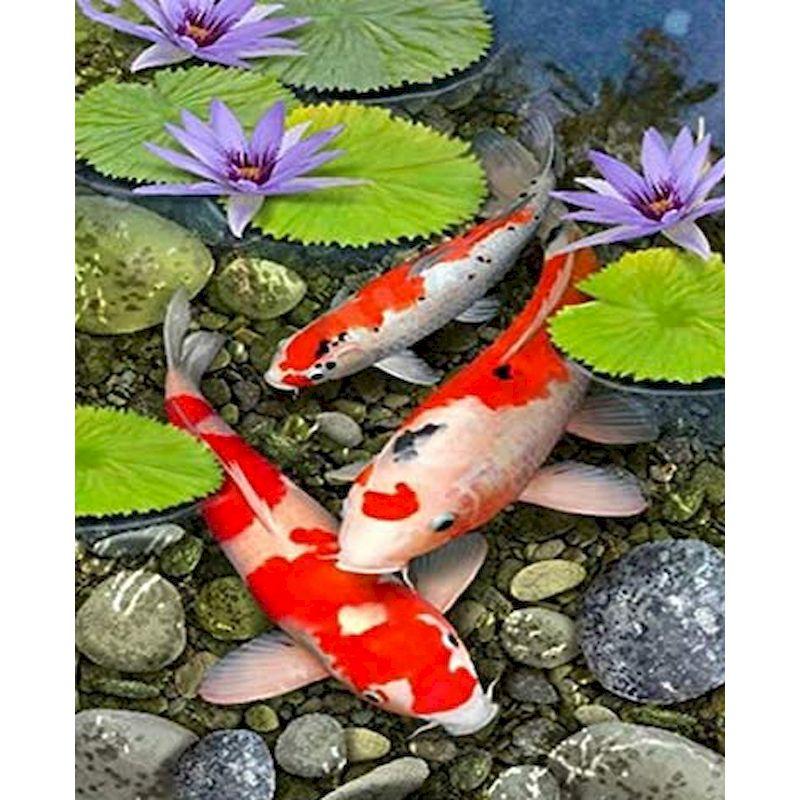 

5D DIY Алмазная картина Полные круглые животные Стразы Картины Мозаика Алмазная вышивка Домашний декор Full Round 20x30CM